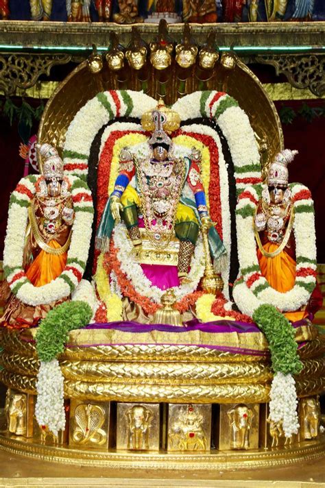 Pedda Sesha Vahana Seva: శ్రీవారి బ్రహ్మోత్సవాలు... మలయప్పస్వామికి ...