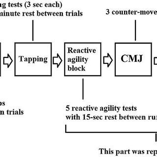 Testing Procedure 的图像结果