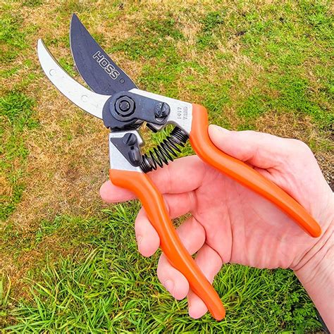 Pruning Shears