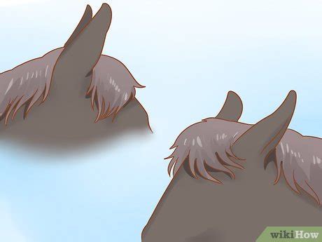 Image result for Communication Cheval