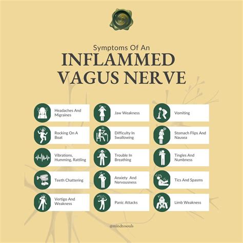 84 Vagus baby ideas to save today | vagus nerve, holistic health, health tips and more