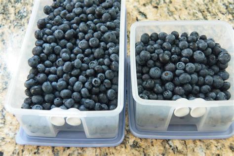 How to Clean and Store Fresh Blueberries