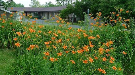 THE GOLDEN INN (New Paris) - Motel Reviews, Photos, Rate Comparison ...