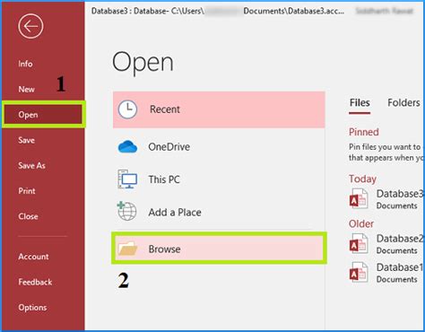 Image result for How to Fix Access Database