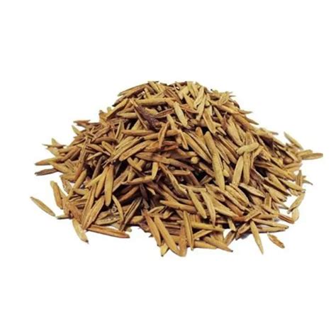 Wrightia tinctoria - Indrajau Meetha - TheWholesalerCo ...
