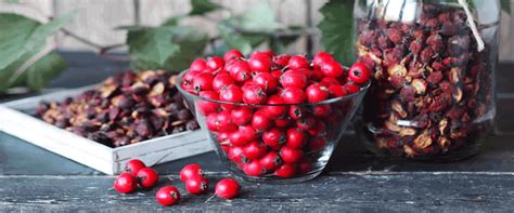 Ocean Spray Unveils Exciting New Craisins Dried Cranberries Flavours