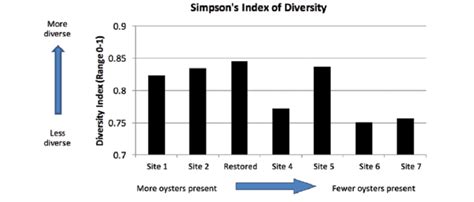 Image result for Computer Science Course Chart