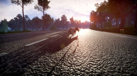 Lightning Fast Game 的图像结果