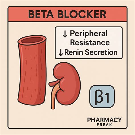 Mechanism of Action of Beta-Blockers