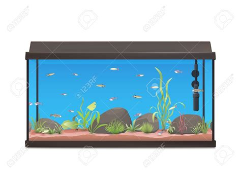 A Fish Tank Clip Art at Maureen Baker blog