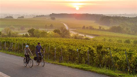 Genussfahrt an der Pfälzer Weinstraße