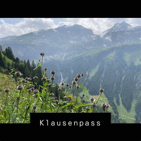 @lady-de-winter on Tumblr