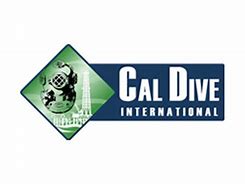 Image result for voluntary dive