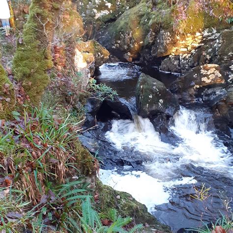 RSPB WOOD OF CREE (2025) All You Need to Know BEFORE You Go (with ...