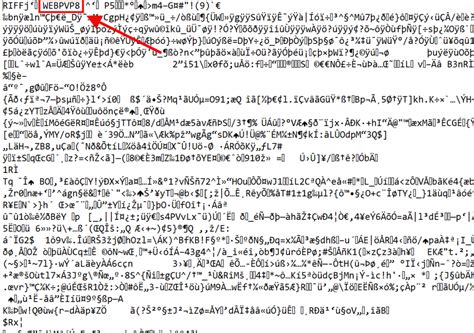 Check File Format 的图像结果