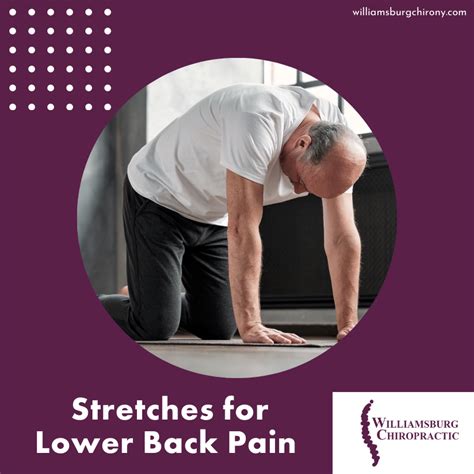 Image result for Lower Back Muscle Strain Exercises