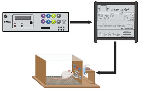 Tucker-Davis Technologies TDT行为模块 iCon – 行为机箱 - Tucker-Davis