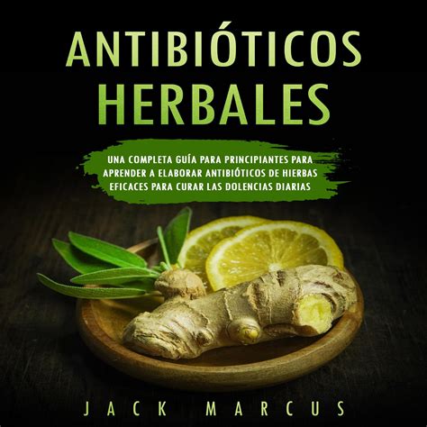 Buy Antibióticos ales [al Antibiotics]: Una Completa Guía para ...