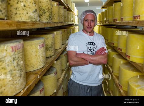 Image result for Cheese Manufacturing