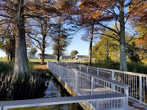 REELFOOT LAKE INN (Tiptonville) - Inn Reviews, Photos, Rate Comparison ...