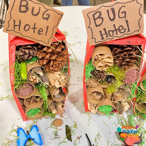Are Bugs Attracted To Cardboard Boxes at Carolyn Pless blog