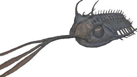 Evolutionary twist: Why this trilobite had Neptune’s trident for a nose