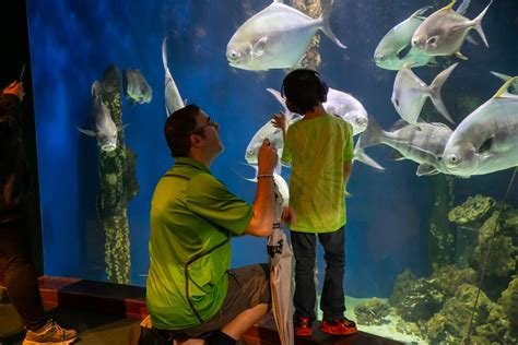 Join or Renew Your BJ’s Membership with Special Rate in July to Support ...