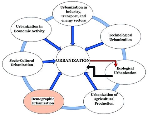 Urbanization Process 的图像结果