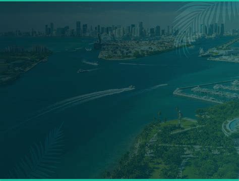 Miami, FL Termite Control | Native Pest Management