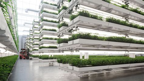 Vertical Farming Process 的图像结果