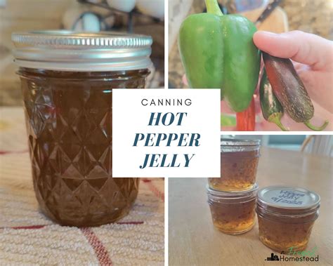 Canning Hot Pepper Jelly + Recipe