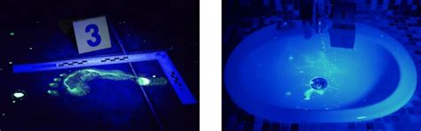 Preliminary Blood Tests in Forensic Investigations — Scientist who draws