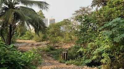 Midc: Navi Mumbai: Trees destroyed at Mhape Naka plot for bullet train ...