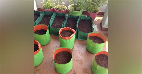 SK Organic Farms | LBB