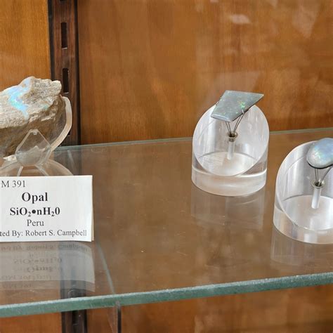 BOB CAMPBELL GEOLOGY MUSEUM - All You Need to Know BEFORE You Go 2026 ...