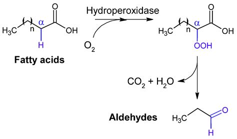 Advanced Biocatalytic Processes for the Conversion of Renewable ...