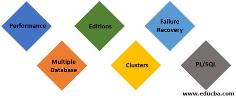 Image result for Oracle Software Examples