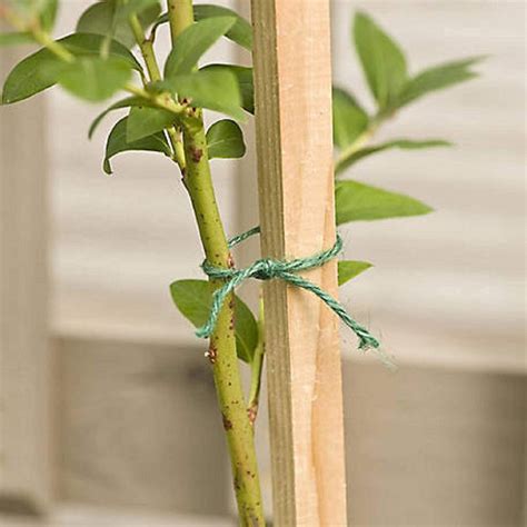 Plant Stands – Sharpex India