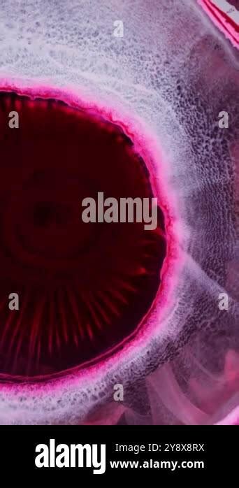 Microscopic Life Forms 的图像结果