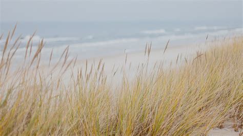 Faries Funeral Directors | Smyrna, DE Funeral Home & Crem...