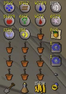 Image result for OSRS Tree Patches