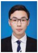 Investigation of the Effects of Electrode Geometry on the Performance ...
