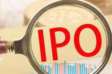 IPO市场周报|证监会离职人员“入股”受监管，中介机构免责式核查被喊停_客户