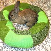 Image result for Rabbit Bed