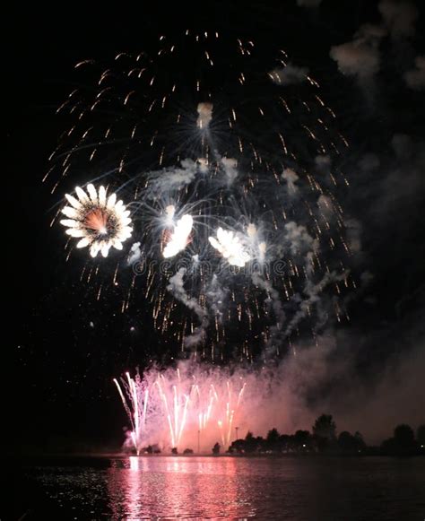 Firework Explosion Fire 的图像结果