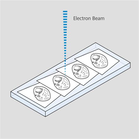 Volume EM with Array Tomography