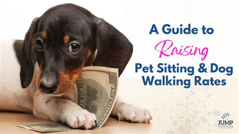 Raise Pet Sitting Rates: Expert Tips