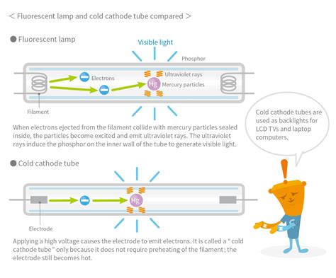 The Evolution of the Light Bulb and its Impact on Electronics Today｜The ...