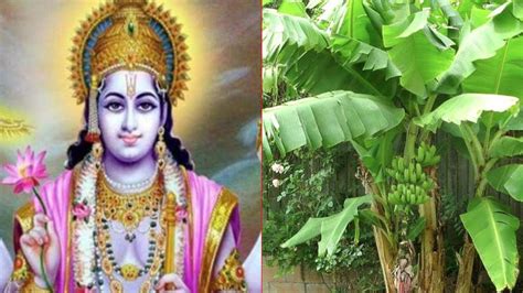 अगर गुरुवार को कर लिए ये काम तो हो जाएंगे वारे-न्यारे - guruwar upay in ...