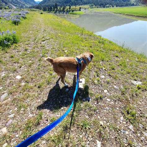 ALPINE VALLEY RV RESORT - Campground Reviews & Photos - Tripadvisor